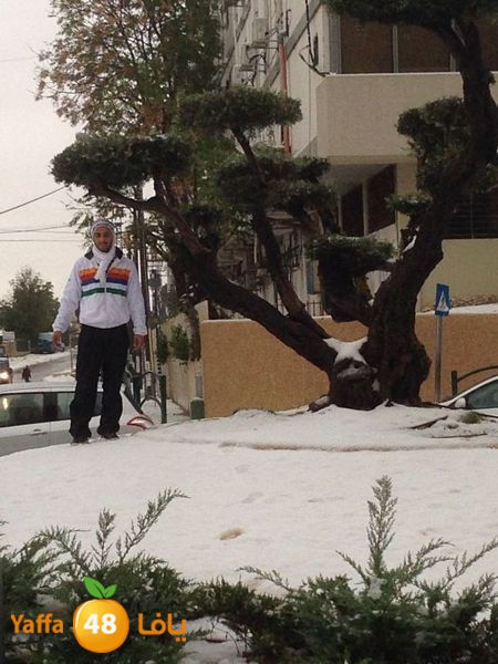 iceman lud 1213 (89).jpg